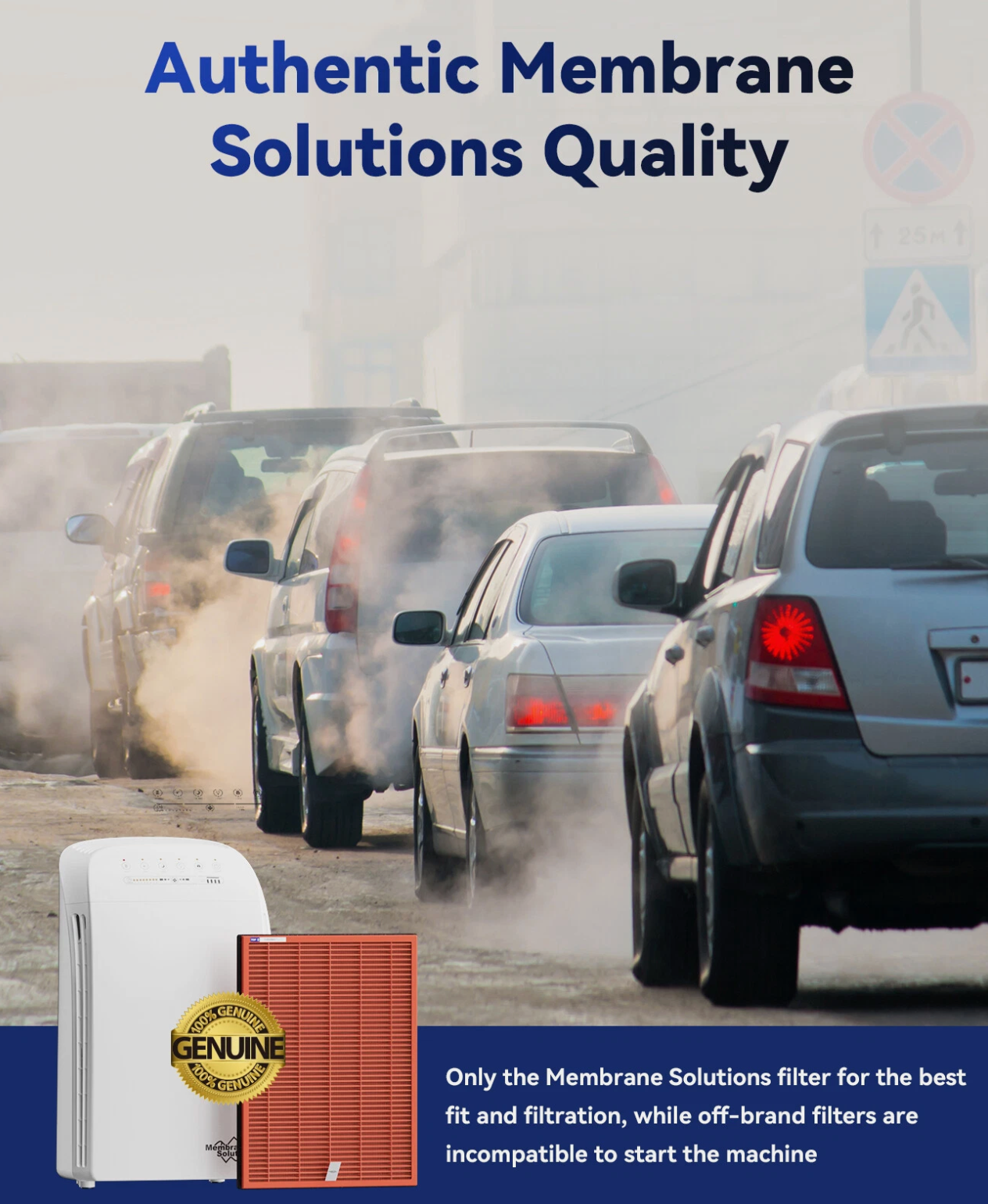 Medical Grade HEPA + Carbon Filter