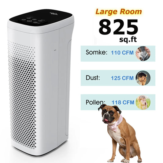 True H13 HEPA Air Purifier